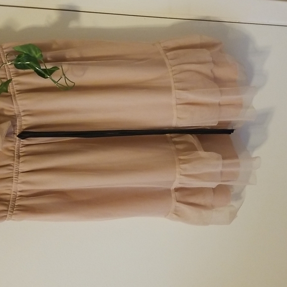 Light Pink Ruffled Dress - Picture 2 of 5